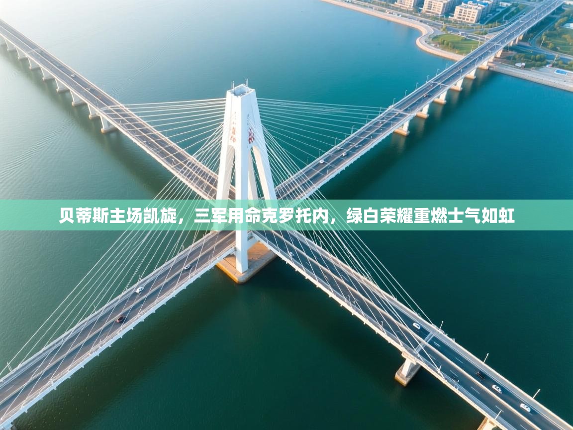 贝蒂斯主场凯旋,三军用命克罗托内,绿白荣耀重燃士气如虹 第2张