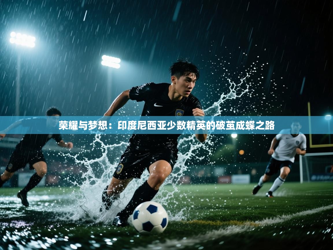 荣耀与梦想：印度尼西亚少数精英的破茧成蝶之路  第2张